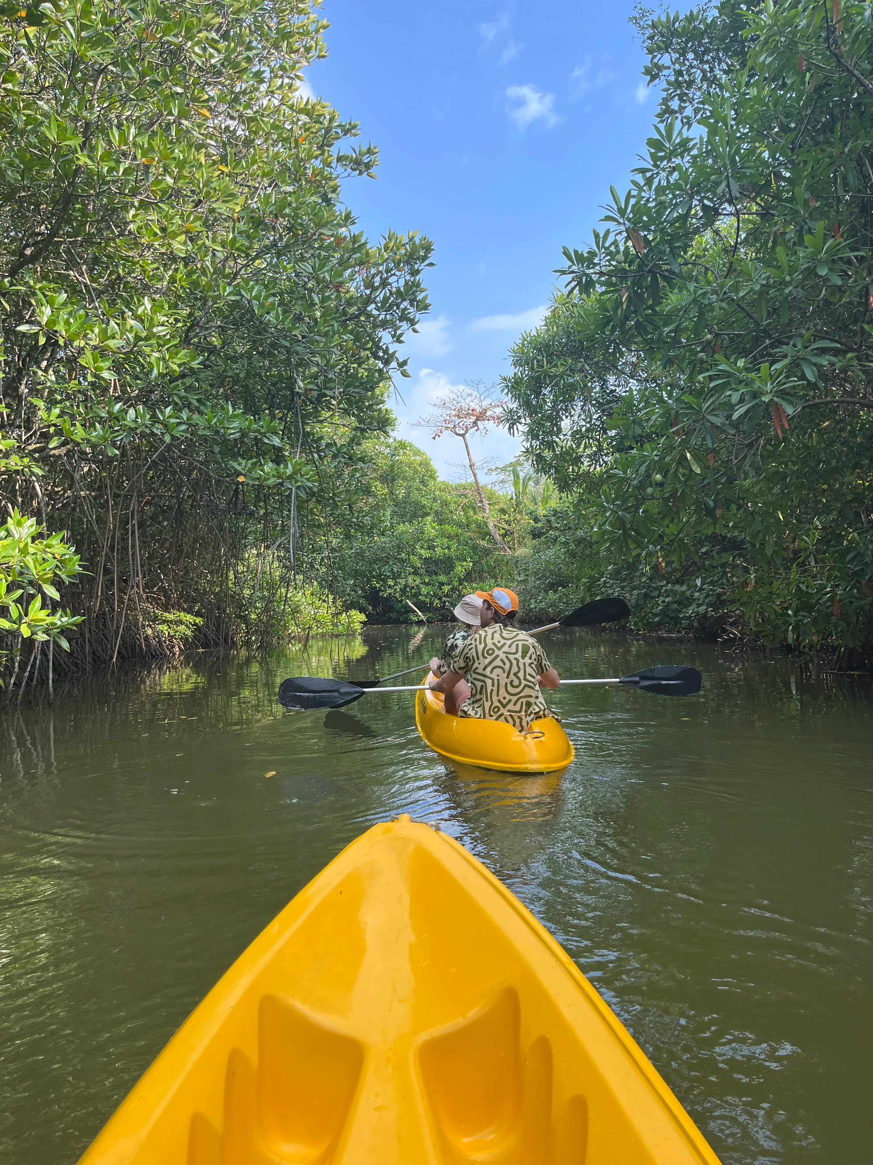 Hikkaduwa for Digital Nomads: The Complete 2026 Guide