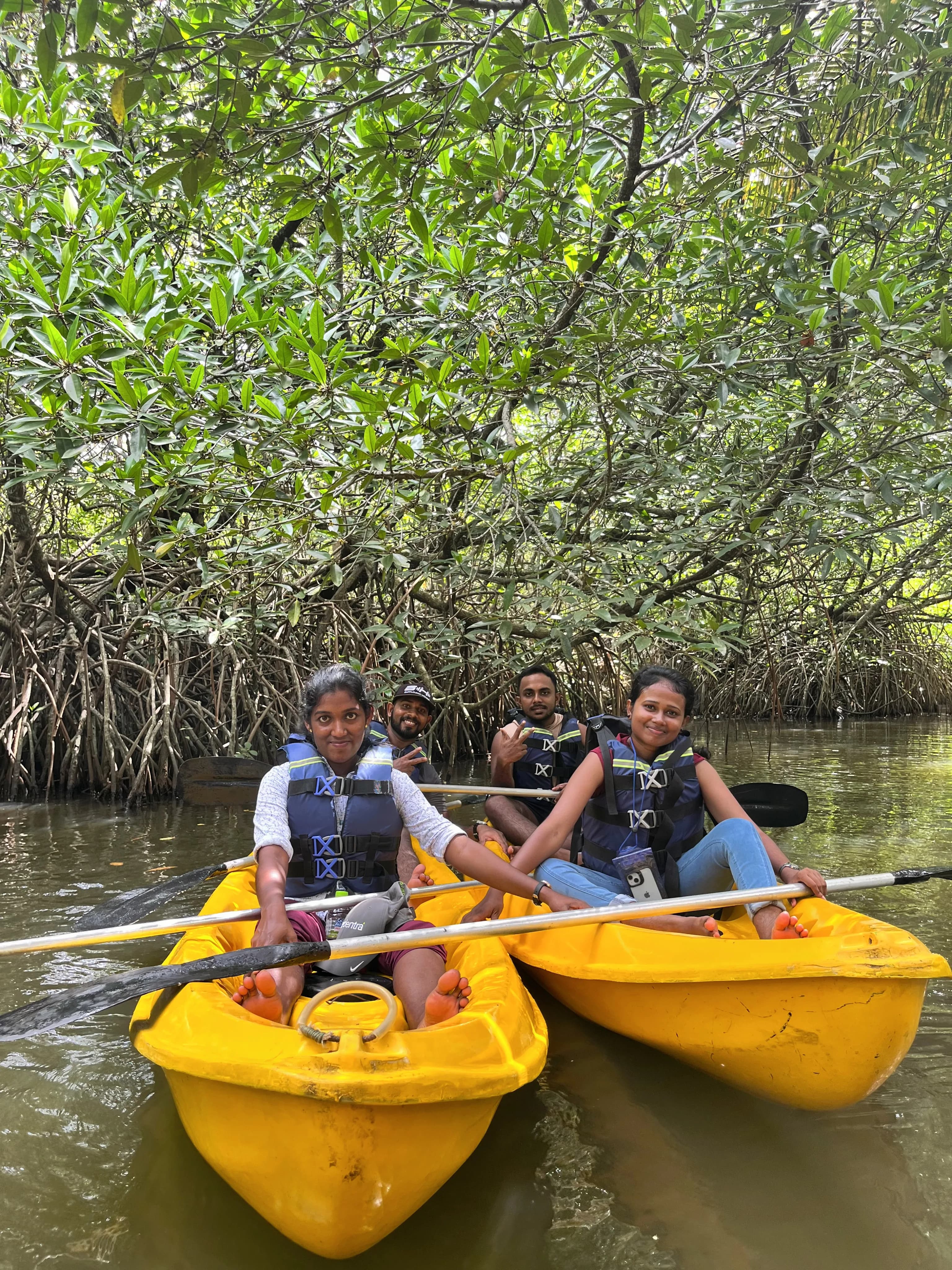 Discovering the Mangrove Ecosystem