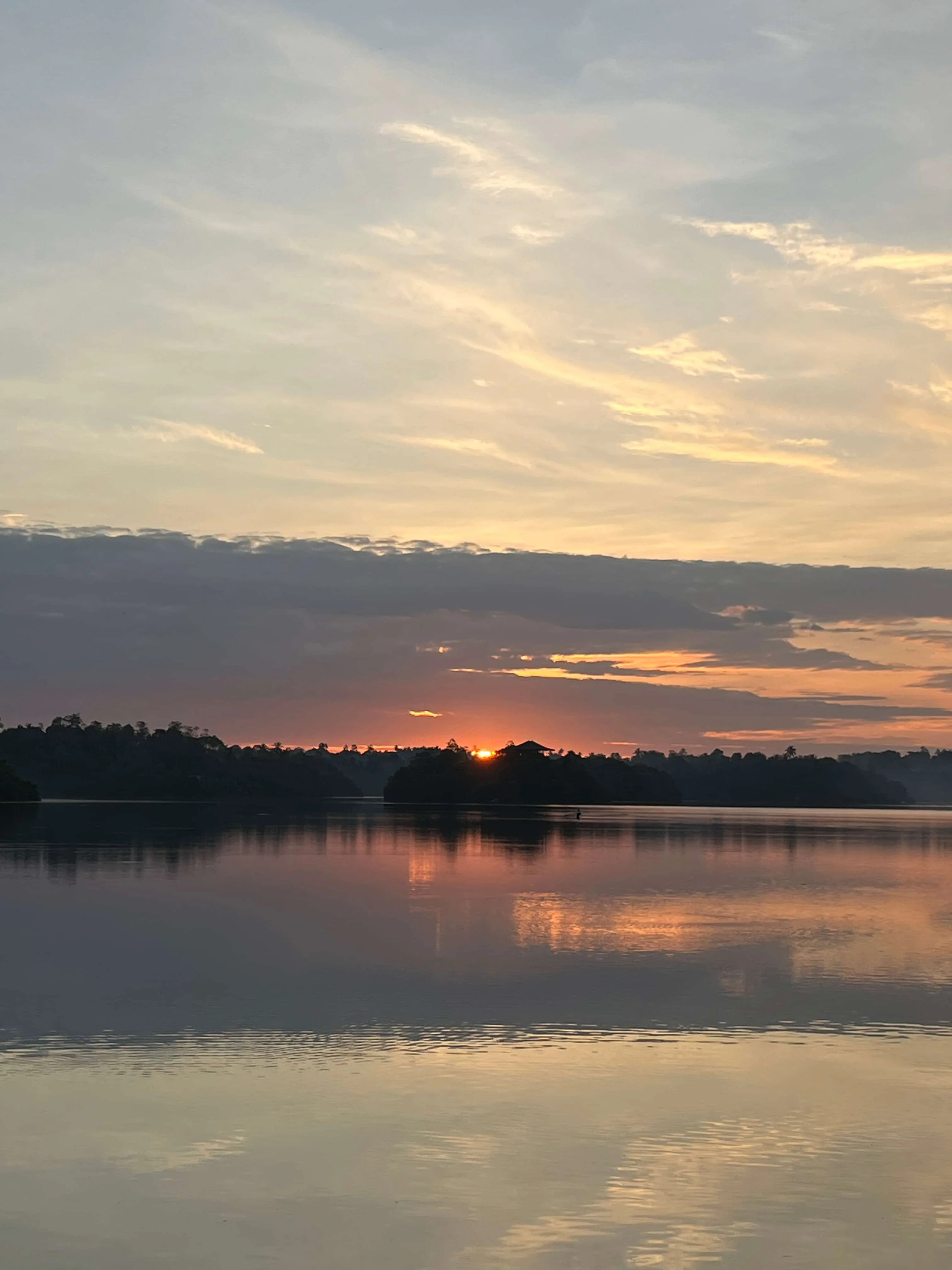 Sunrise & Wildlife Tour